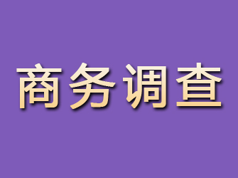 西岗商务调查